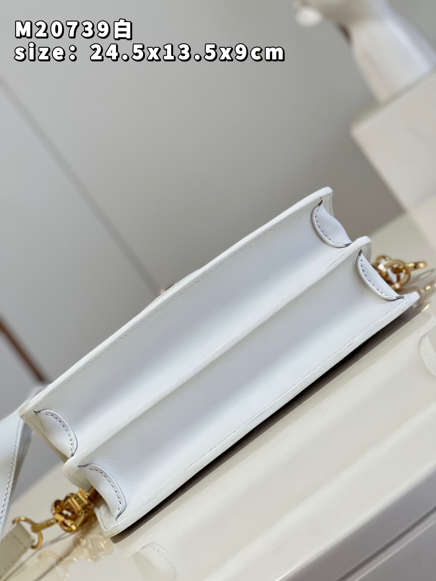 L0vis Vvtt0n Dauphine